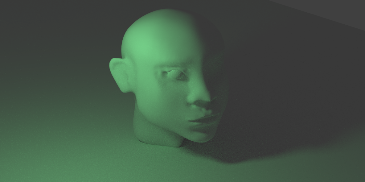 Rough Face Model